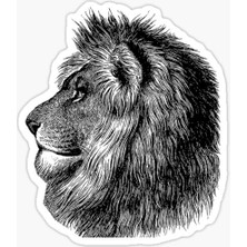 TSC Renkli Aslan Araba Oto Sticker Yapıştırma Etiket 17CM R8