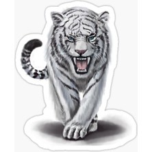 TSC Renkli Kaplan Araba Oto Sticker Yapıştırma Etiket 17CM D6