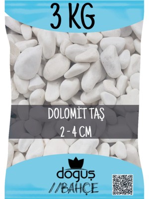 Doğuş Bahçe Dolomit Beyaz 3 kg 2-4 cm Dere Çakıl Bahçe Süs Akvaryum Teraryum Taşı