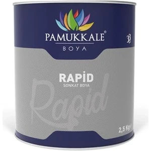 Rapid Boya Mat Siyah 2.5 kg