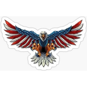 Araba Kartal Sticker Yapıştırması Etiket Amerikan Bayrağı 17CM