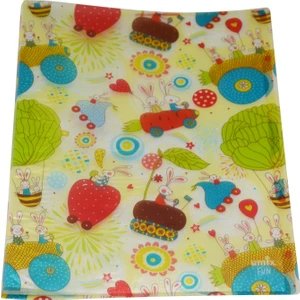 Fun Desenli Sunum Dosyası 20’li