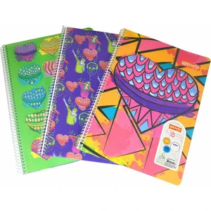 Flex Up Defter A4 100 Yaprak