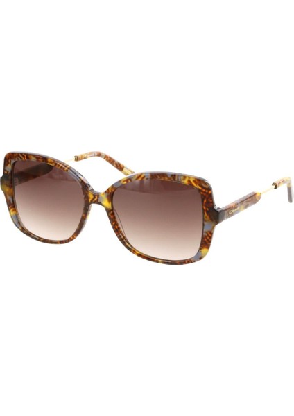 OS3287-02 56 Kadın Güneş Gözlüğü