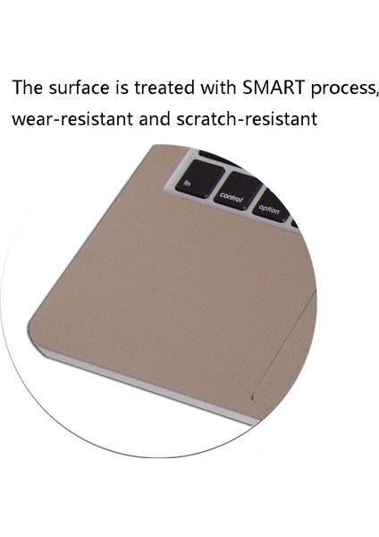 MacBook Pro 13 Için Jrc Etiket A2289 / A2251 (2020) Meyve Gümüş (Yurt Dışından) modelleri