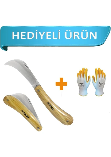 Burcu Aşı Bıçağı Ceviz Aşı Çakısı 19 cm (Eldiven Hediyeli)