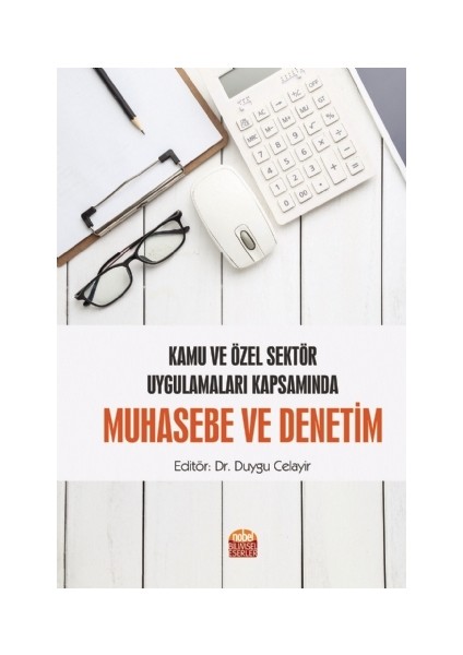 Kamu ve Özel Sektör Uygulamaları Kapsamında Muhasebe ve Denetim