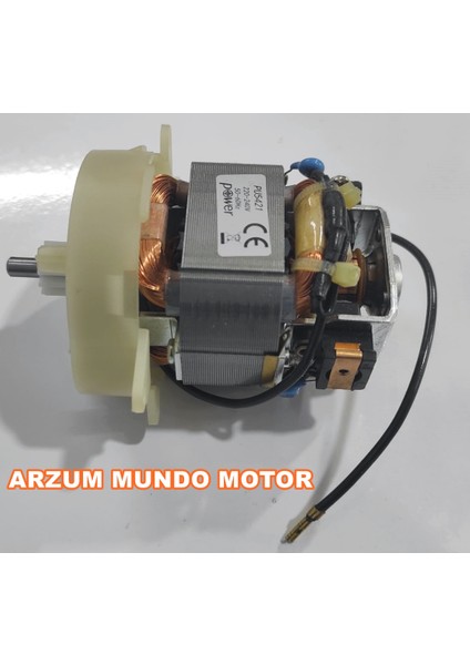 Mundo Motor PU5421