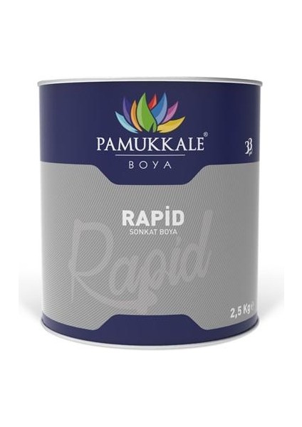 Rapid Boya Açık Kahve 2.5 kg