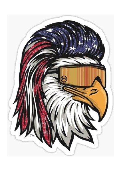 Araba Için Havalı Kartal Sticker Yapıştırması Etiket Oto 17CM Z1
