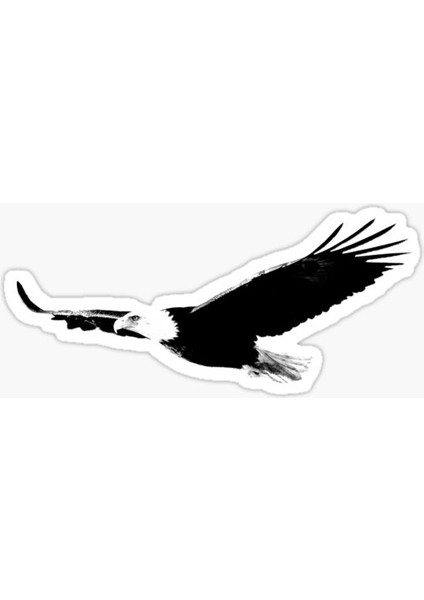 Araba Için Kartal Oto Sticker Yapıştırması Etiket 17CM A3