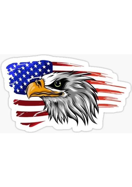 Araba Için Kartal Oto Sticker Yapıştırması Etiket 17CM D9