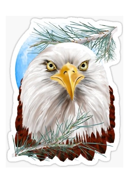 Araba Için Kartal Oto Sticker Yapıştırması Etiket 17CM E5