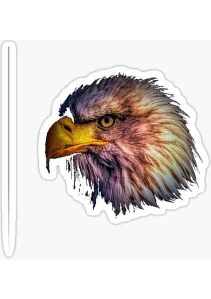 Araba Için Kartal Oto Sticker Yapıştırması Etiket 17CM R3