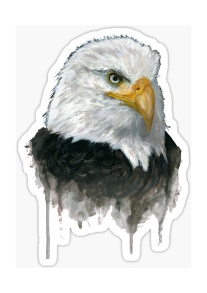 Araba Için Kartal Oto Sticker Yapıştırması Etiket 17CM R4