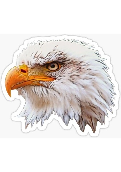 Araba Için Kartal Oto Sticker Yapıştırması Etiket 17CM R7