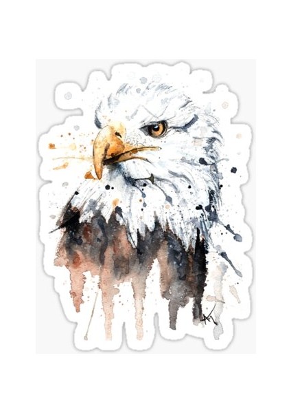 Araba Için Kartal Oto Sticker Yapıştırması Etiket 17CM S1