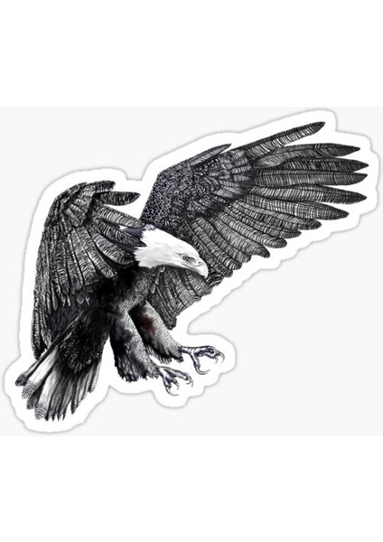Araba Için Kartal Oto Sticker Yapıştırması Etiket 17CM Zz8