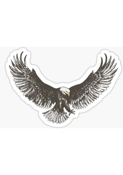 Araba Için Kartal Sticker Yapıştırması Etiket Oto Leptop 17CM X1