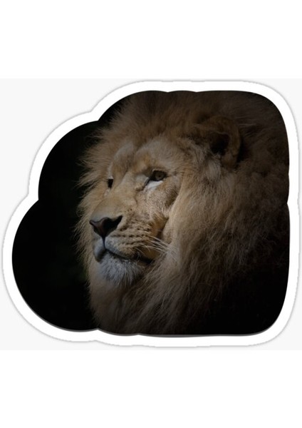 Aslan Ailesi Araba Oto Sticker Yapıştırma Etiket 17CM Q1