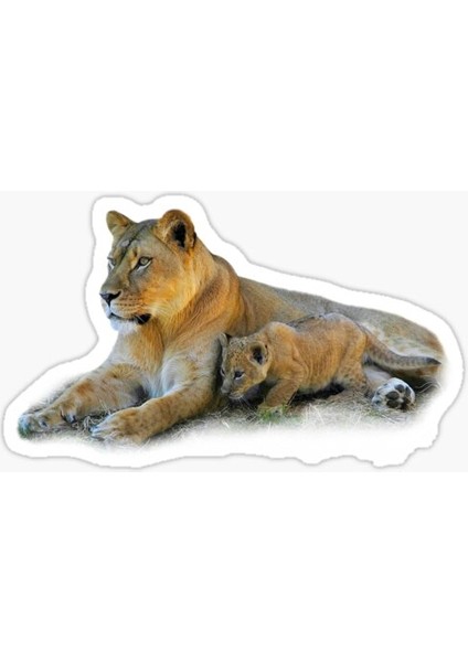 Aslan Ailesi Araba Oto Sticker Yapıştırma Etiket 17CM T2