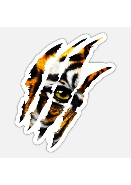 Kaplan Pençe Araba Oto Sticker Yapıştırma Etiket 17CM H1