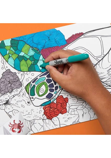 Fine Canlı Renkler Permanent Markör 4'lü modelleri