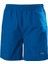 Helly Hansen Hh Calshot Trunk Erkek Şortlar 55693_606 1