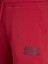 Logo Detaylı Sweat Şort- Newsoft 3