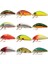 MG-002 Mustang Minnow 45 Suni Yem 2