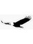 Araba Için Kartal Oto Sticker Yapıştırması Etiket 17CM A3 1