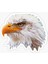 Araba Için Kartal Oto Sticker Yapıştırması Etiket 17CM R7 1