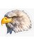 Araba Için Kartal Sticker Yapıştırması Etiket Oto Leptop 17CM 1
