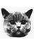 Araba Leptop Için Kedi Oto Sticker Yapıştırması Etiket 17CM Z5 1