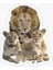 Aslan Ailesi Araba Oto Sticker Yapıştırma Etiket 17CM Q2 1