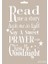 New Stencil Collection A4 AS-563 1