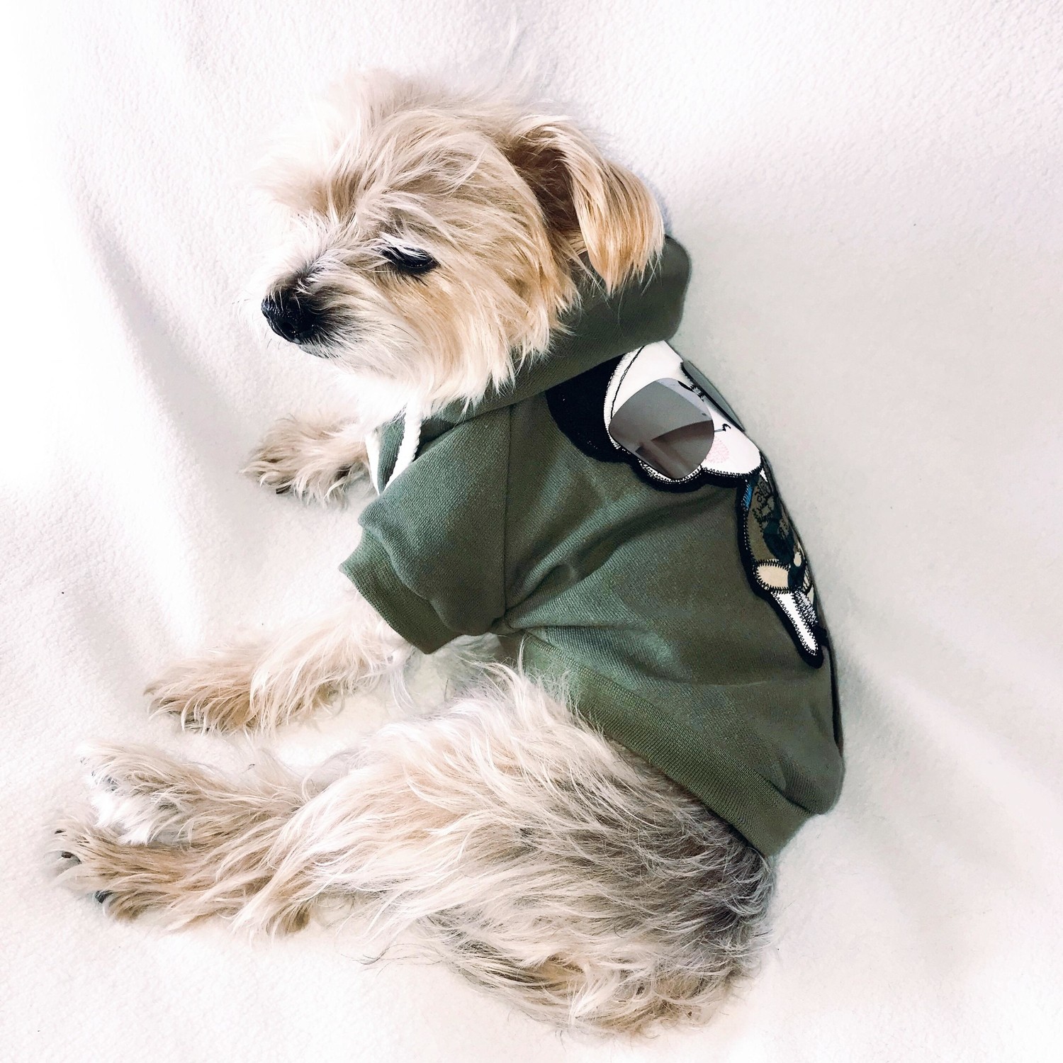 Kemique Soldıer Köpek Süeteri Athletıque Köpek Kıyafet Fiyatı