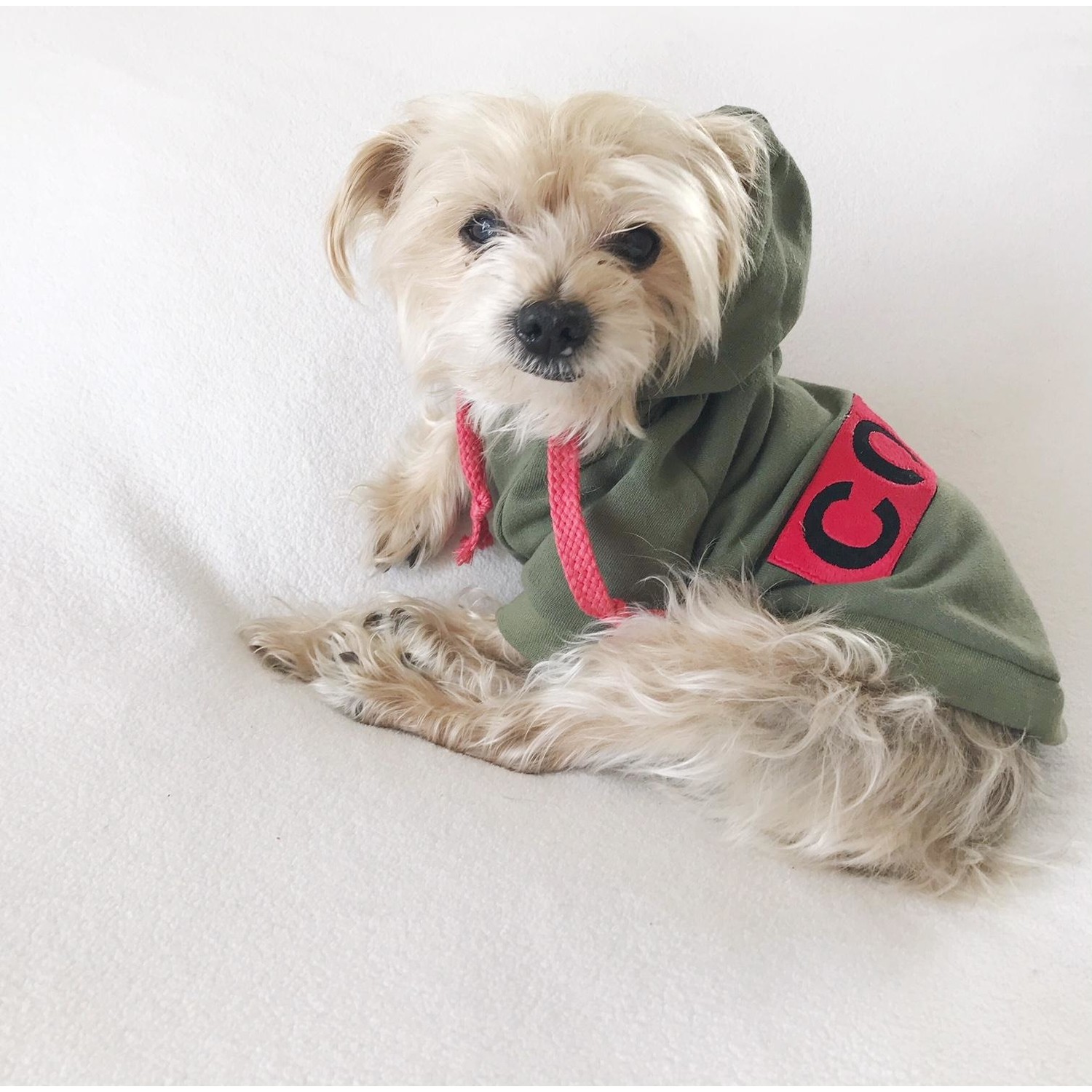 Kemique Cool Köpek Süeteri Athletıque By Köpek Kıyafet Fiyatı