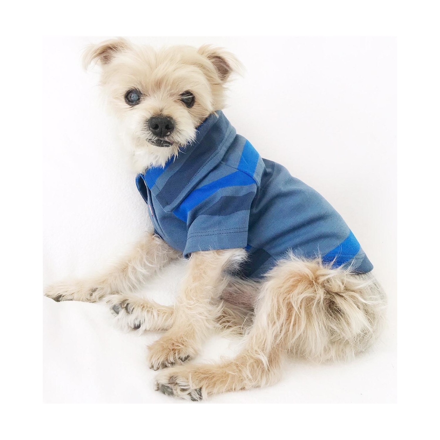 Kemique Grand Pa Polo Yaka Tişört By Köpek Kıyafeti Köpek Fiyatı