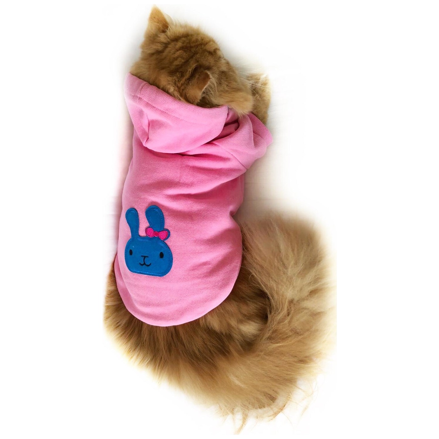 Kemique Athletique Pınk Bunny Sweatshirt By Kedi Kıyafeti Fiyatı