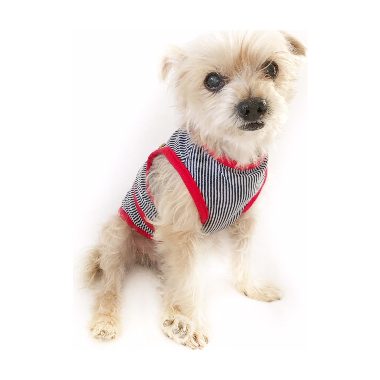 Kemique Red Teddy Atlet By Köpek Kıyafeti Köpek Elbisesi Fiyatı