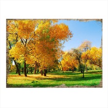 Cakasepetim Ahşap Tablo Sonbahar Ve Ağaçlar