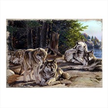 Cakasepetim Ahşap Tablo Kurtlar