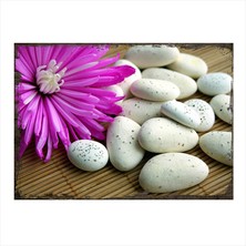 Tablomega Ahşap Tablo Beyaz Taşlar Ve Çiçek