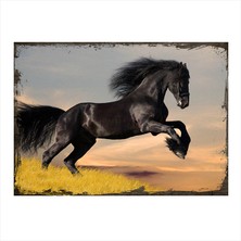 Cakasepetim Ahşap Tablo Özgür At