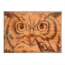 Cakasepetim Ahşap Tablo Gözlüklü Baykuş