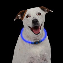 NiteHowl Safety Necklace-Blue LED Işıklı Köpek Güvenlik Kolyesi