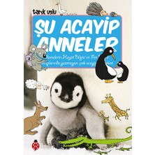 Şu Acayip Şeyler Dizisi (20 Kitap)