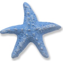 Mutlu Adım 24 Adet Deniz Yıldızı Biblo Denizci Konsepti