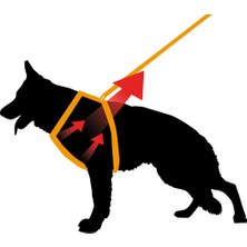 Ferplast Giotto Luxor P Sm Köpek Göğüs Tasması 31 ÷ 39 Cm - 44 ÷ 52 Cm
